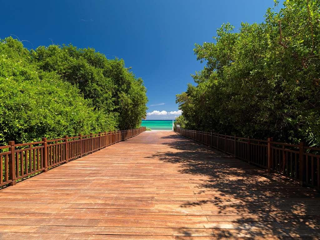 The Reserve Paradisus Playa Del Carmen (Adults Only) Natur foto