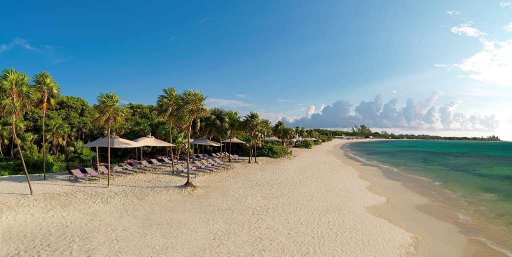 The Reserve Paradisus Playa Del Carmen (Adults Only) Natur foto